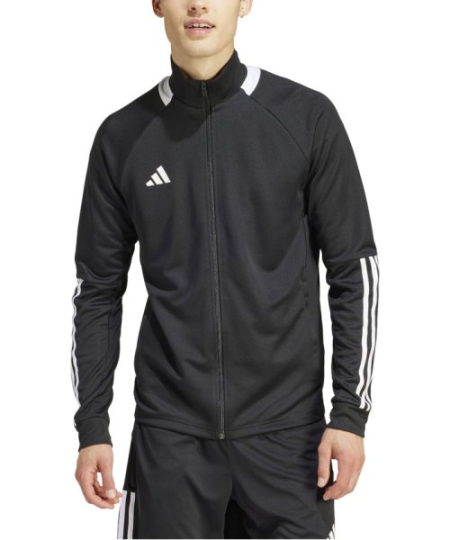 adidas(adidas)/adidas アディダス セレーノ AEROREADY カット スリーストライプス スリムトラックジ/img05