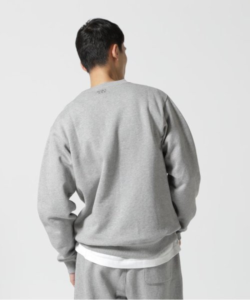 AVIREX(AVIREX)/《DAILY/デイリー》CREW NECK L/S SWEAT LOGO / クルーネック ロングスリーブ スウェット / AVIREX /img50