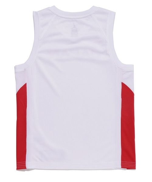 JORDAN BRAND(ジョーダンブランド)/JPN 2023 LIMITED JERSEY/img02