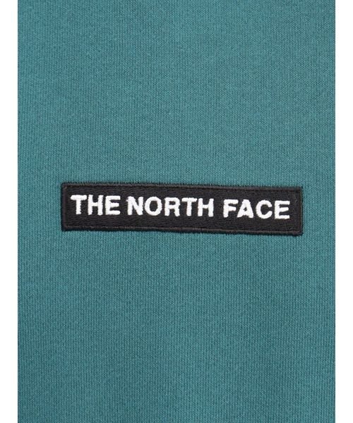 THE NORTH FACE(ザノースフェイス)/BOX LOGO HOODIE（ボックスロゴフーディー）/img09