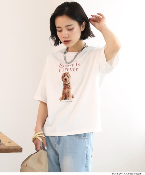 ad thie(アドティエ)/ショート丈DOGプリントTシャツ　/img04