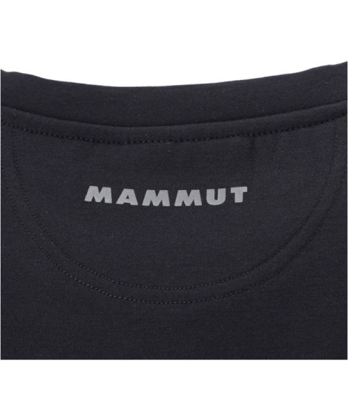 MAMMUT(マムート)/MAMMUT マムート アウトドア 長袖 トップス メンズ Dyno 2．0 ML Crew Neck AF 101404/img04