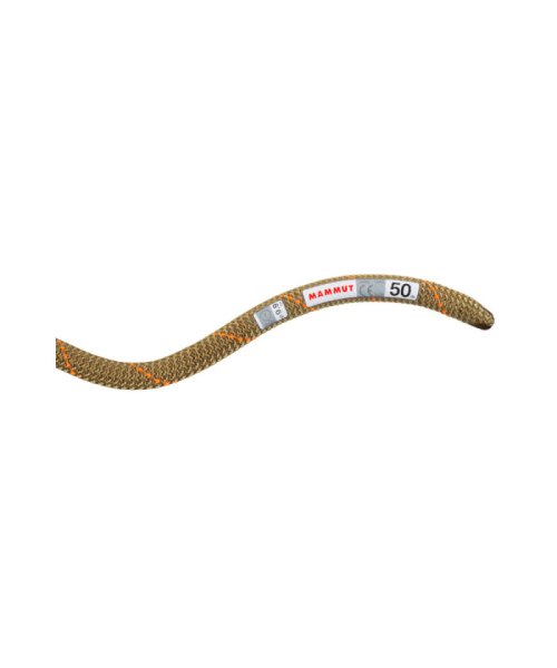 MAMMUT マムート アウトドア 9．9 Gym Workhorse Classic Rope 2010－04310 201004310  S1604206144(12375円)