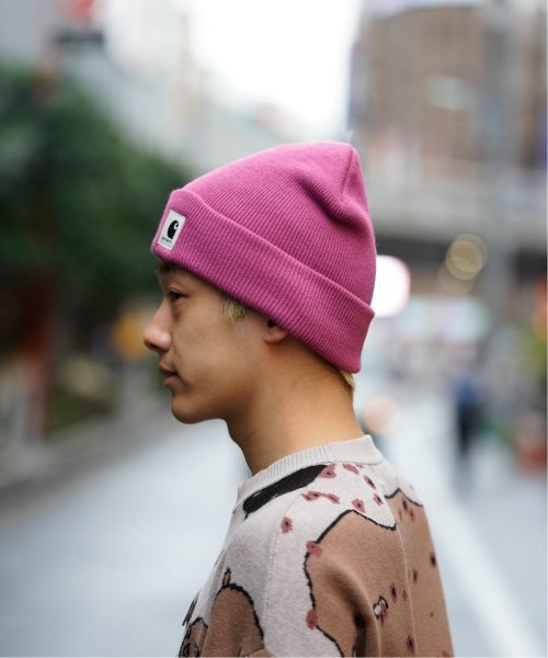 JOINT WORKS(ジョイントワークス)/【Carhartt/カーハート】 ASHLEY BEANIE/img07