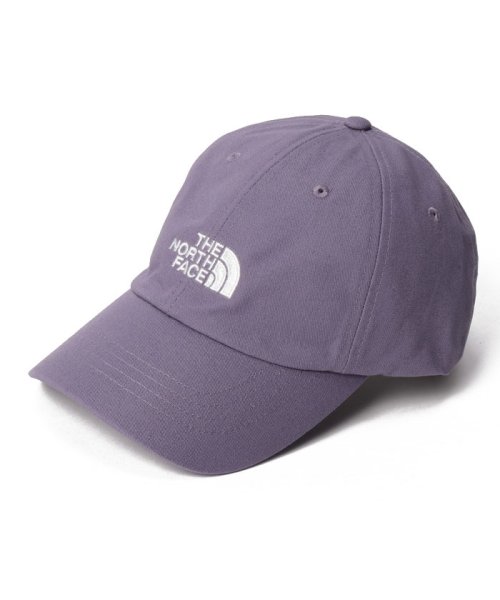 THE NORTH FACE(ザノースフェイス)/【THE NORTH FACE/ザ・ノースフェイス】NORM HAT ノームハット ロゴ キャップ NF0A3SH3/img18