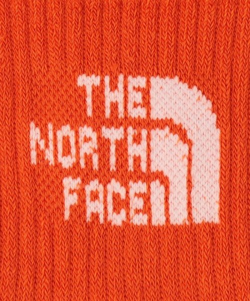 green label relaxing （Kids）(グリーンレーベルリラクシング（キッズ）)/＜THE NORTH FACE＞ジャカード ロゴ 3P クルー ソックス（キッズ）16cm－21cm/img03