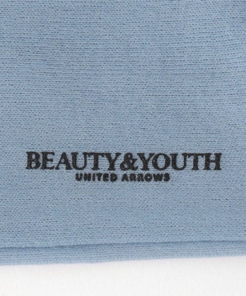 BEAUTY&YOUTH UNITED ARROWS(ビューティーアンドユース　ユナイテッドアローズ)/シアー ハイソックス/img06