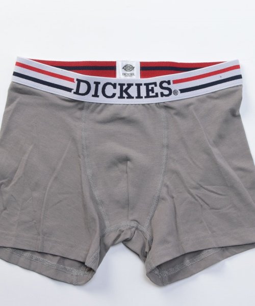 Dickies(Dickies)/Dickies Global Workwear logo/img08
