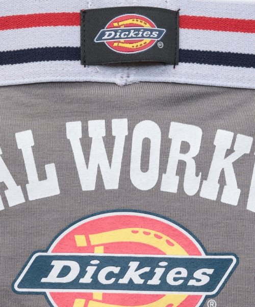 Dickies(Dickies)/Dickies Global Workwear logo/img09