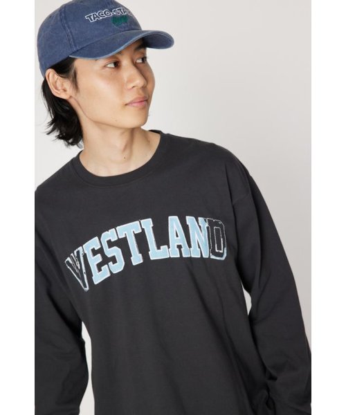 RODEO CROWNS WIDE BOWL(ロデオクラウンズワイドボウル)/WESTLAND L/S Tシャツ/img11