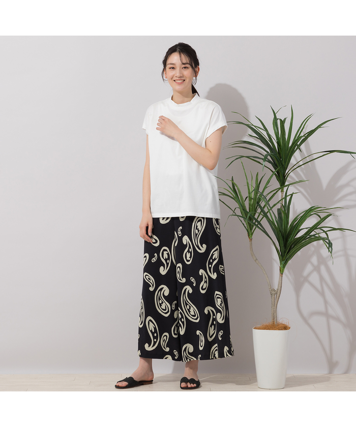 ピサーノ PISANO スタンドカラー・トフレンチスリーブトップス