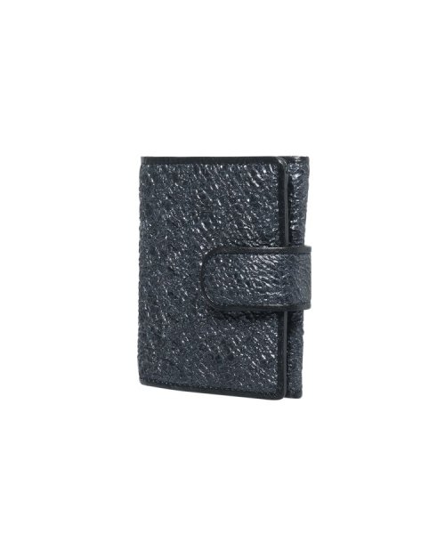 HIROKO　HAYASHI (ヒロコ　ハヤシ)/CUCINETTA（クチネッタ）薄型二つ折り財布/img02