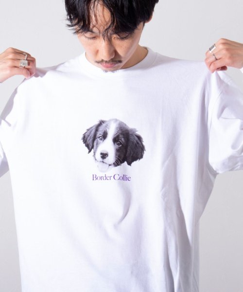 GLOSTER(GLOSTER)/【新柄追加】【GLOSTER/グロスター】DOG&CAT 犬猫プリントロンT/img15