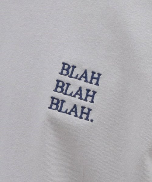 SHIPS any MEN(シップス　エニィ　メン)/SHIPS any: BLAH BLAH BLAH.ワンポイント 刺繍 ルーズ Tシャツ (ロンT)◇/img24