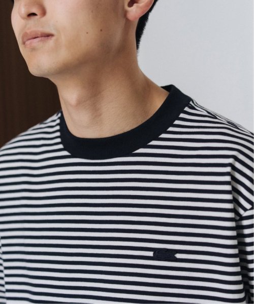 EDIFICE(エディフィス)/LACOSTE (ラコステ) 別注 ボーダーTシャツ/img22