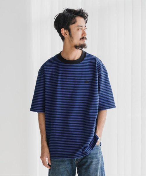 EDIFICE(エディフィス)/LACOSTE (ラコステ) 別注 ボーダーTシャツ/img40