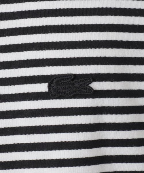 EDIFICE(エディフィス)/LACOSTE (ラコステ) 別注 ボーダーTシャツ/img55