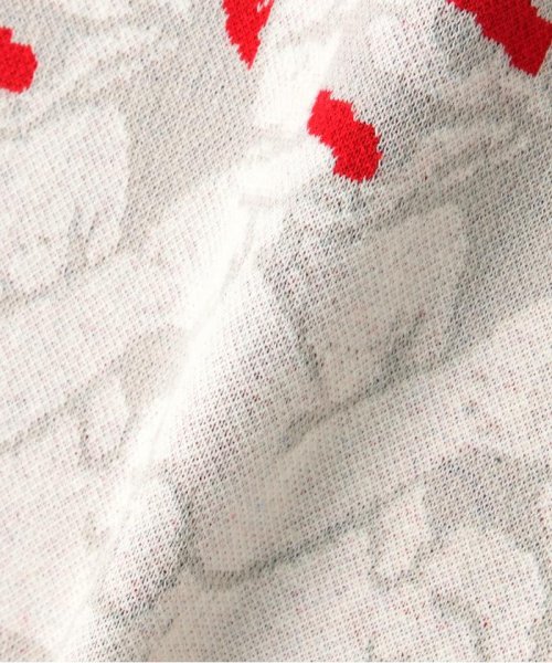 TAIN DOUBLE PUSH/タインダブルプッシュ/別注KNIT CREW DOUBLE TAIN