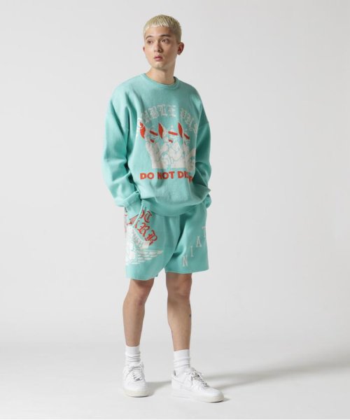 TAIN DOUBLE PUSH/タインダブルプッシュ/別注KNIT CREW DOUBLE TAIN