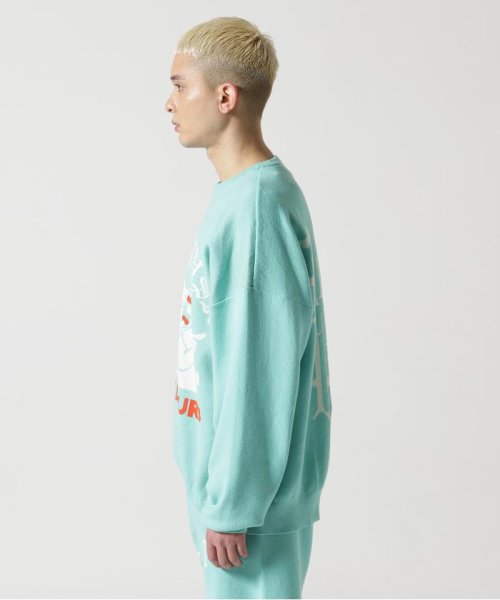 TAIN DOUBLE PUSH/タインダブルプッシュ/別注KNIT CREW DOUBLE TAIN