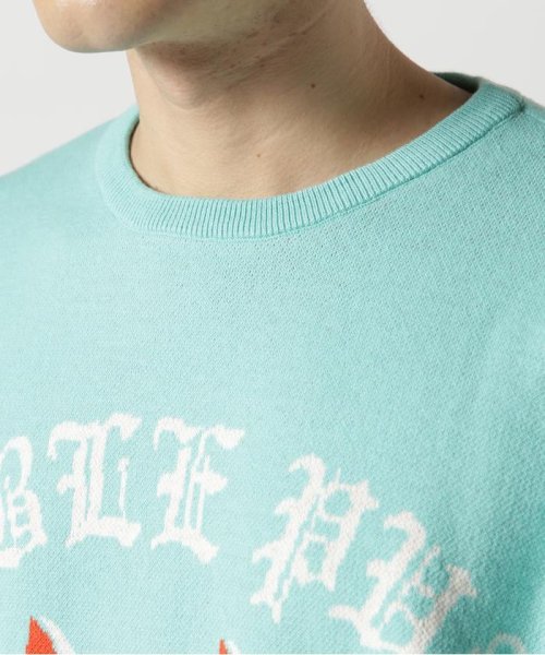 TAIN DOUBLE PUSH/タインダブルプッシュ/別注KNIT CREW DOUBLE TAIN