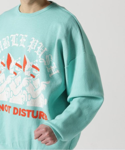 TAIN DOUBLE PUSH/タインダブルプッシュ/別注KNIT CREW DOUBLE TAIN