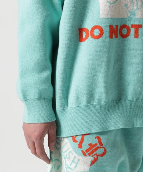 TAIN DOUBLE PUSH/タインダブルプッシュ/別注KNIT CREW DOUBLE TAIN