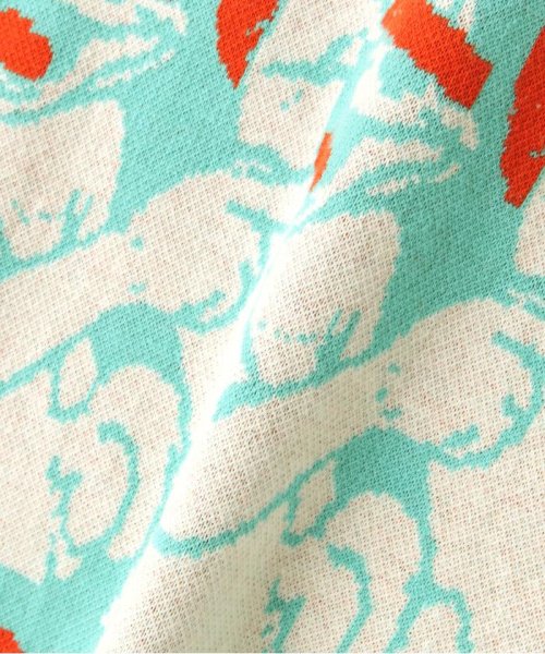 TAIN DOUBLE PUSH/タインダブルプッシュ/別注KNIT CREW DOUBLE TAIN