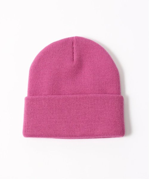 JOINT WORKS(ジョイントワークス)/【Carhartt/カーハート】 ASHLEY BEANIE/img11