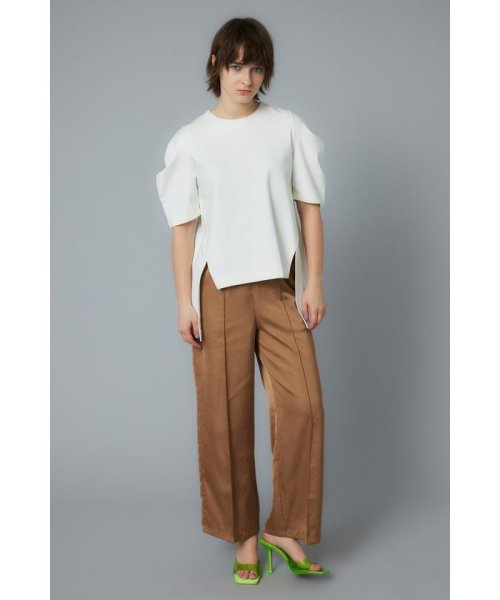 HeRIN.CYE(ヘリンドットサイ)/Center press satin pants/img01