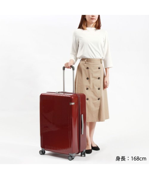 ace.TOKYO(エーストーキョー)/エーストーキョー スーツケース Lサイズ ace.TOKYO キャリーケース 海外 大型 74L 6泊 7泊 ace 静音 抗菌 パリセイド3－Z 06915/img02