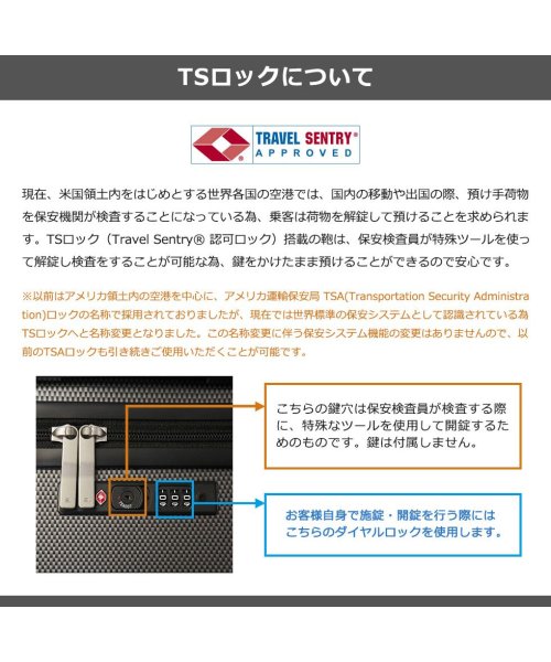 ace.TOKYO(エーストーキョー)/エーストーキョー スーツケース Lサイズ ace.TOKYO キャリーケース 大型 100L 10～14泊 ace 静音 抗菌 パリセイド3－Z 06916/img25