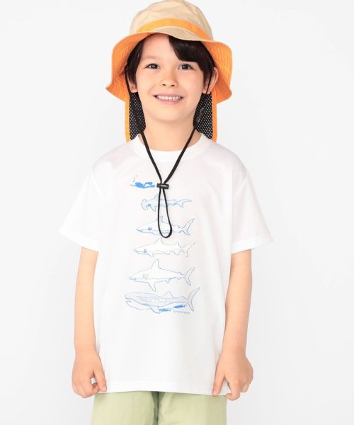 SHIPS KIDS(シップスキッズ)/SHIPS KIDS:100～130cm /〈接触冷感/吸水速乾〉シャーク フリーク TEE/img01