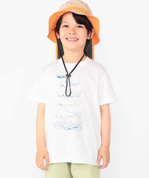 SHIPS KIDS(シップスキッズ)/SHIPS KIDS:100～130cm /〈接触冷感/吸水速乾〉シャーク フリーク TEE/img03