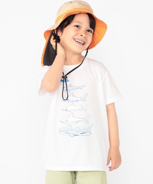 SHIPS KIDS(シップスキッズ)/SHIPS KIDS:100～130cm /〈接触冷感/吸水速乾〉シャーク フリーク TEE/img04