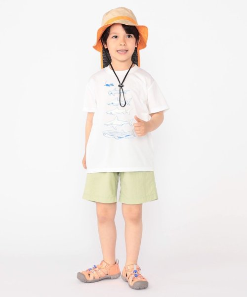 SHIPS KIDS(シップスキッズ)/SHIPS KIDS:100～130cm /〈接触冷感/吸水速乾〉シャーク フリーク TEE/img07