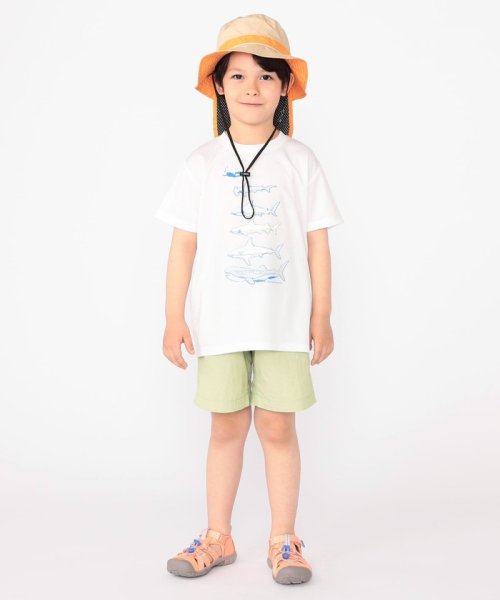 SHIPS KIDS(シップスキッズ)/SHIPS KIDS:100～130cm /〈接触冷感/吸水速乾〉シャーク フリーク TEE/img08