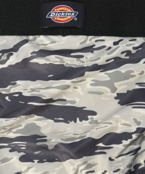 Dickies(Dickies)/Dickies Tiger camo/img10