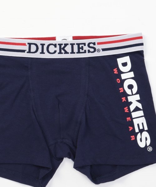 Dickies(Dickies)/Dickies Texas flag/img09