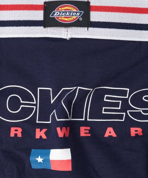 Dickies(Dickies)/Dickies Texas flag/img10