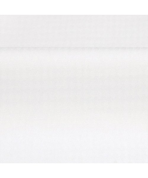 TOKYO SHIRTS(TOKYO SHIRTS)/【超形態安定・大きいサイズ】 ホリゾンタルワイドカラー 綿100% 長袖ワイシャツ/img05