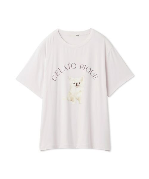 gelato pique(gelato pique)/DOG柄ワンポイントTシャツ/img28