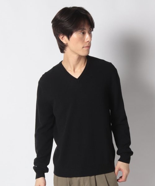 BENETTON (mens)(ベネトン（メンズ）)/ピュアメリノウールVネックニットセーター/img11