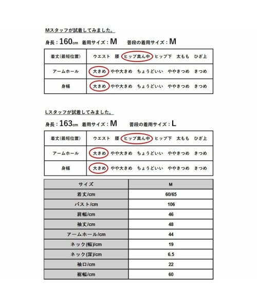 and it_(アンドイット)/ストライプブロードボリュームスリーブシャツ シャツ レディース 春夏 長袖 トップス ストライプシャツ 前開き 羽織り ボリューム袖 ぽわん袖 ハリ感 お洒落 /img03