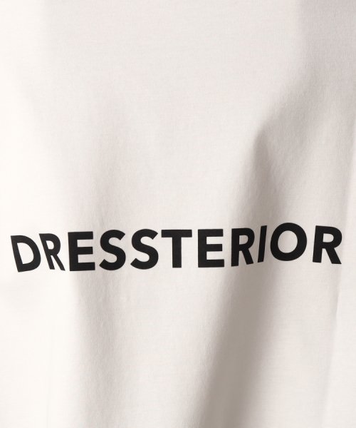 DRESSTERIOR(ドレステリア)/【接触冷感／抗菌防臭／消臭】ICE CLEAR COTTON オーバーフィットTシャツ/img19