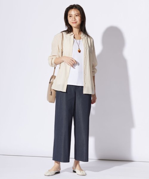 J.PRESS LADIES（LARGE SIZE）(J．プレス　レディス（大きいサイズ）)/【洗える】コットンアセVis ストライプ シャツカラー ブラウス/img04