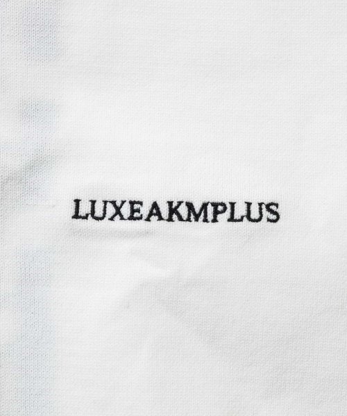 LUXEAKMPLUS(LUXEAKMPLUS)/LUXEAKMPLUS(リュクスエイケイエムプラス)ゴルフ バーティカルロゴニットベスト/img18