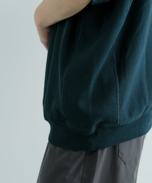 ITEMS URBANRESEARCH(アイテムズアーバンリサーチ（メンズ）)/Champion　RW Half Zip SS Sweat Z007/img19