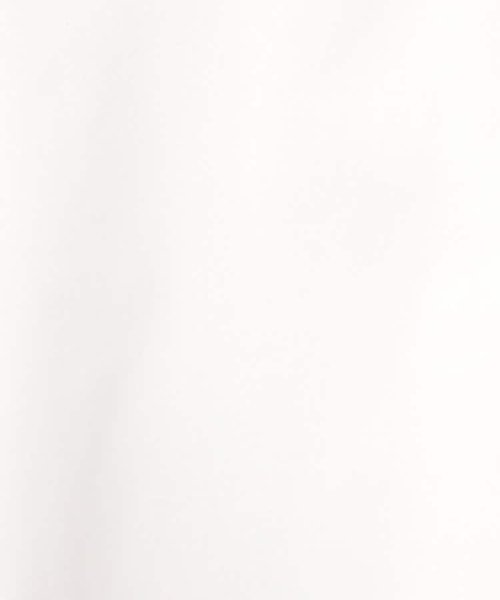 OPAQUE.CLIP(オペークドットクリップ)/バックフリルスキッパーシャツブラウス／ストライプ柄アソート【洗濯機洗い可／UVケア】/img30