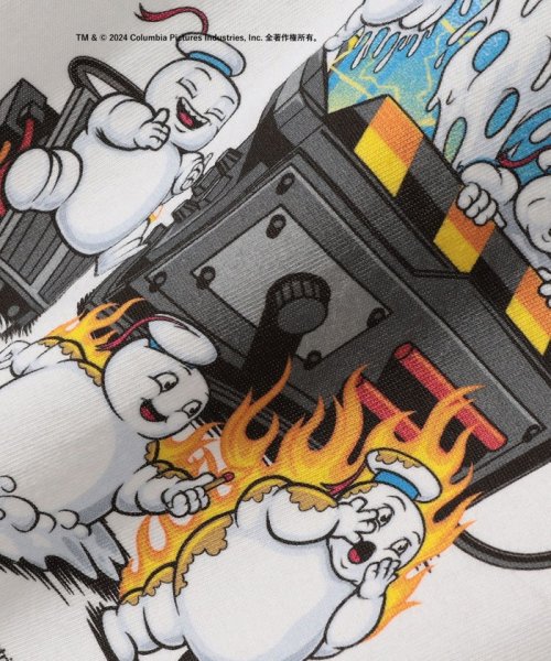 SHIPS WOMEN(シップス　ウィメン)/〈洗濯機可能〉MINI PUFT MAYHEM TEE ◇/img02